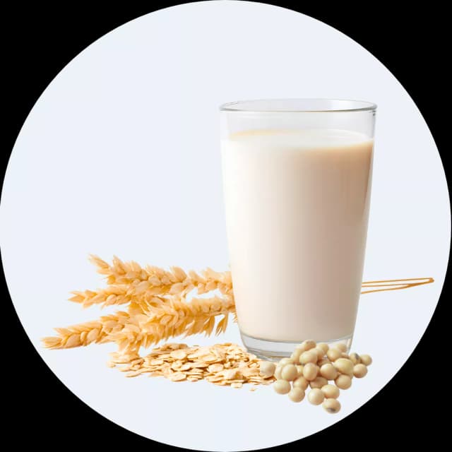 Nước gạo, nước đậu