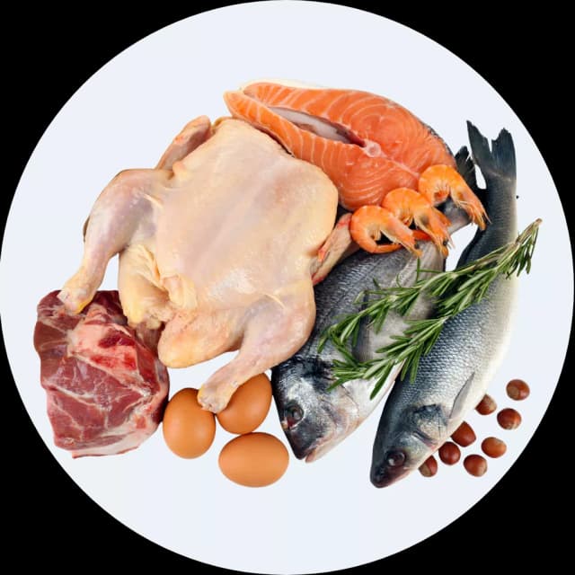 Thịt, hải sản đông lạnh