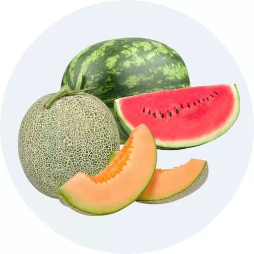 Dưa các loại