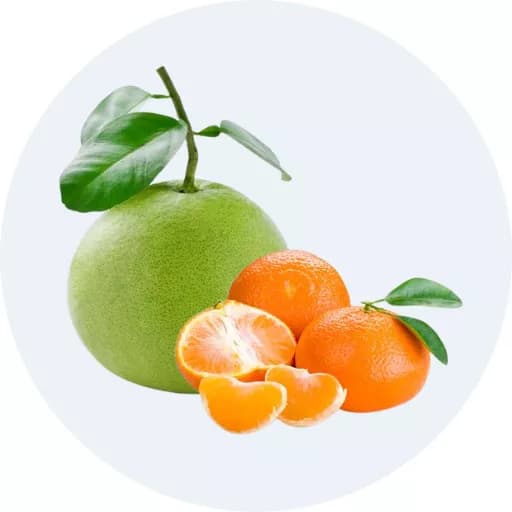 Bưởi, cam, quýt