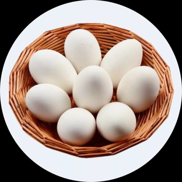 Trứng vịt