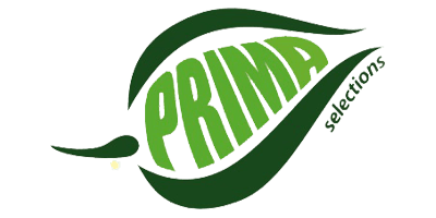 PRIMA