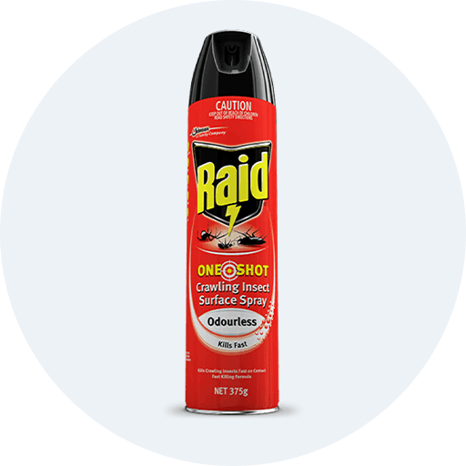 Bình xịt côn trùng