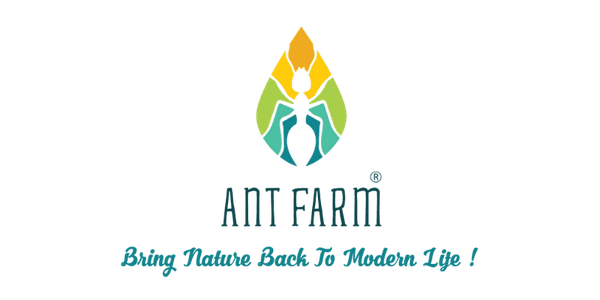 ANT FARM