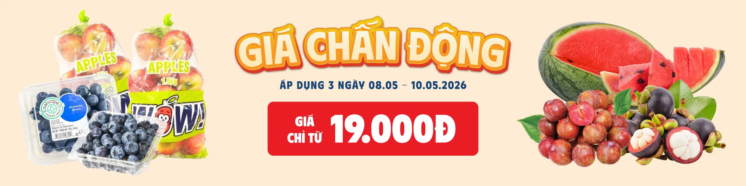Gía chấn động