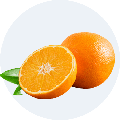 Thế giới trái cây