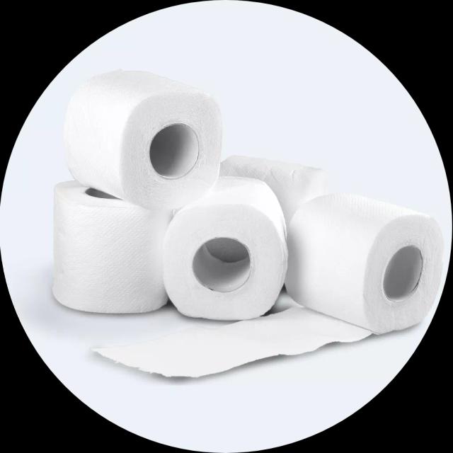 Khăn giấy vệ sinh