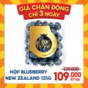 Hộp Blueberry New Zealand hộp 125g (1 Hộp)