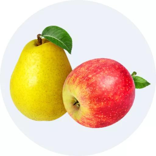 Táo, lê