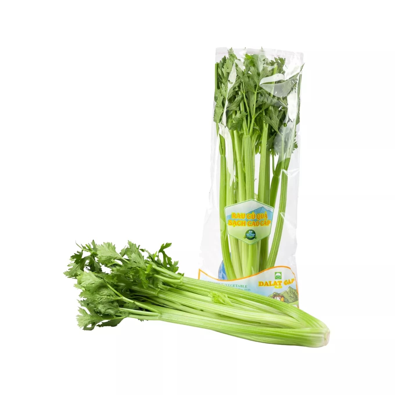 Cần tây Đà Lạt GlobalGAP gói 500g (1 Gói)