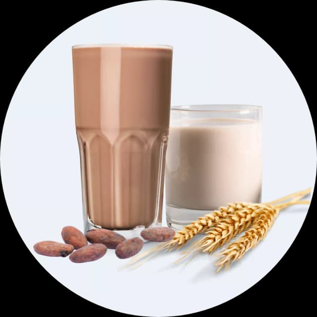 Sữa lúa mạch, cacao