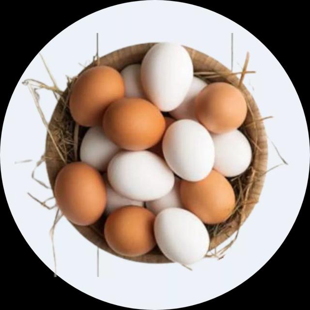 Trứng gia cầm