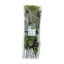 Tía tô hữu cơ VietRat gói 100g (1 Gói)