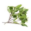 Húng quế VietGAP Phước Hiệp gói 50g (1 Gói)