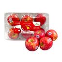 Táo Envy hộp 6 trái (1 Hộp)