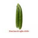 Mướp hương VietGAP cặp 400G (1 Cặp)