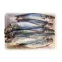 Cá nục làm sạch 8-10 con/kg nguyên con vỉ 300g (1 Vỉ)