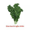 Cải Kale Đà Lạt GlobalGAP gói 200g (1 Gói)