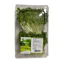 Mầm bông cải xanh hộp 150g (1 Hộp)