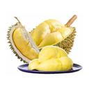 Sầu riêng Ri6 (2KG)