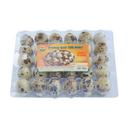 Trứng cút 10-12g Gia Phát hộp 30 quả (1 Hộp)