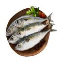 Cá bạc má sạch 8-10 con/kg vỉ 300g (1 Vỉ)