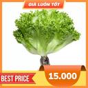 Xà lách thuỷ tinh thuỷ canh gói 200g (1 Gói)