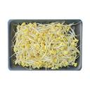 Giá đậu nành Yamoshi gói 150g (1 Gói)