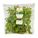 Húng lủi VietGAP gói 50g (1 Gói)