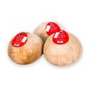 Dừa dứa True Coco (1 Quả)