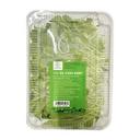 Cải bẹ xanh baby Sông Xanh 250g (1 Hộp)