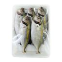 Cá chỉ vàng làm sạch vỉ 300g (1 Vỉ)