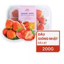 Dâu giống Nhật Nagare Hoshi (M) Hộp 200g