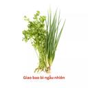Rau nêm hỗn hợp VietGap gói 80g (1 Gói)