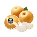 Lê nâu nội địa Trung quả 550G (1 quả)