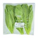 Xà lách Orlar Romaine xanh gói 150g (1 Gói)