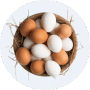 Trứng gia cầm