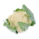 Bông cải trắng Đà Lạt VietGAP bông 400g (1 Bông)