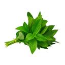 Húng cây VietGAP Phước Hiệp gói 50g (1 Gói)