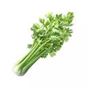 Cần tây Đà Lạt gói 500g (1 Gói)