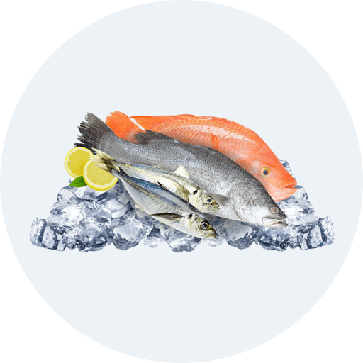 Cá đông lạnh
