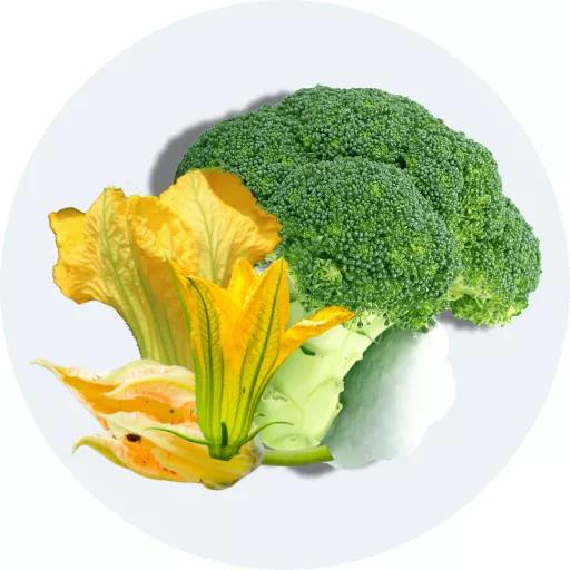 Bông cải, bông bí các loại