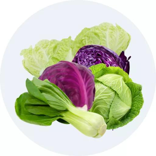 Bắp cải, cải thảo, cải các loại