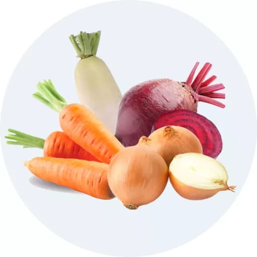 Cà rốt, củ cải, củ dền, hành tây