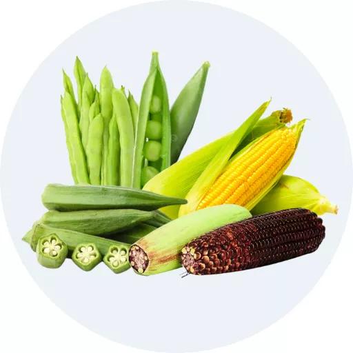Các loại đậu, bắp