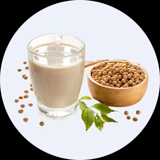 Sữa đậu