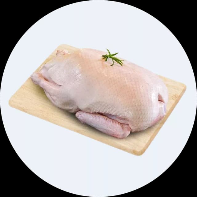 Gà, vịt nguyên con