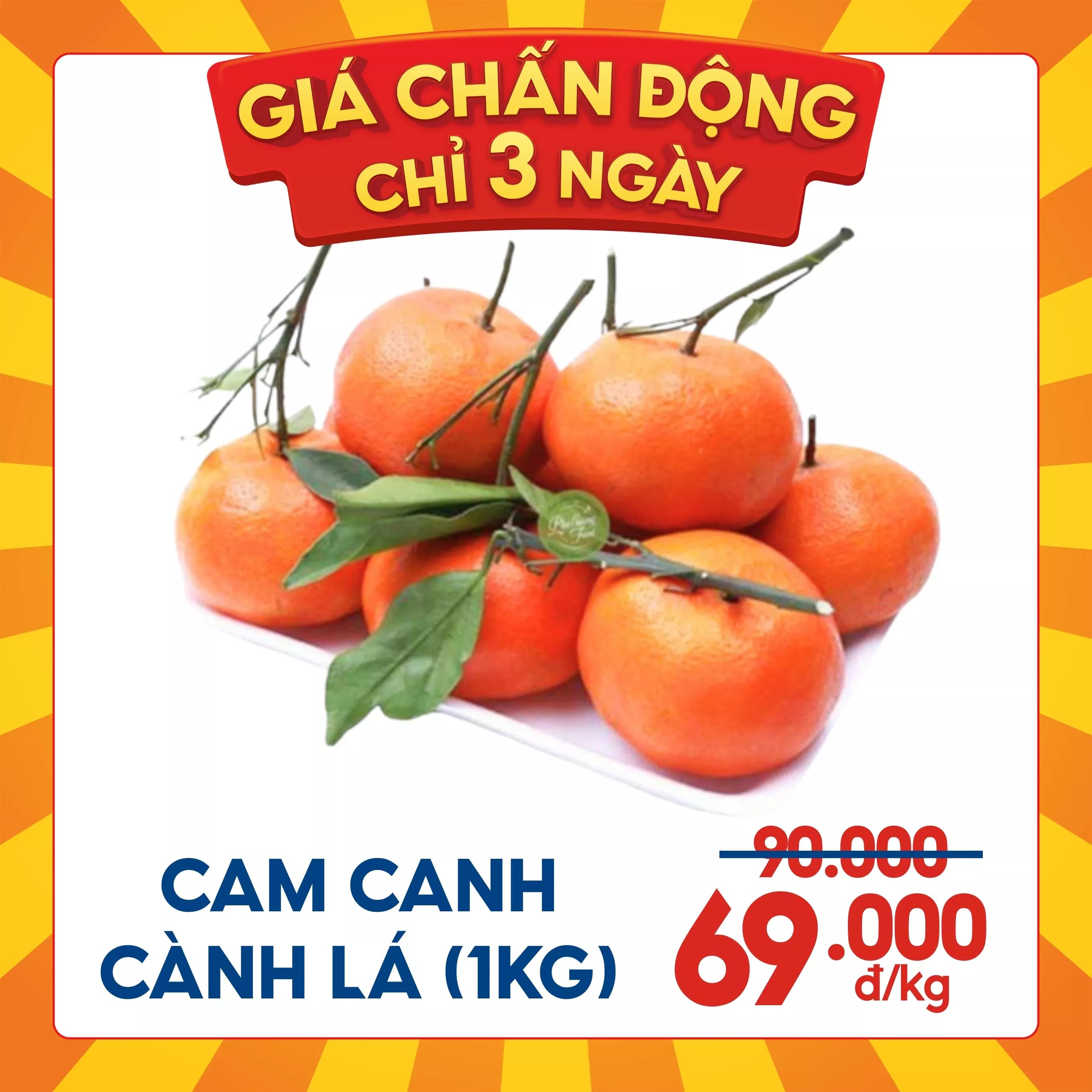 Cam canh cành lá (1kg)