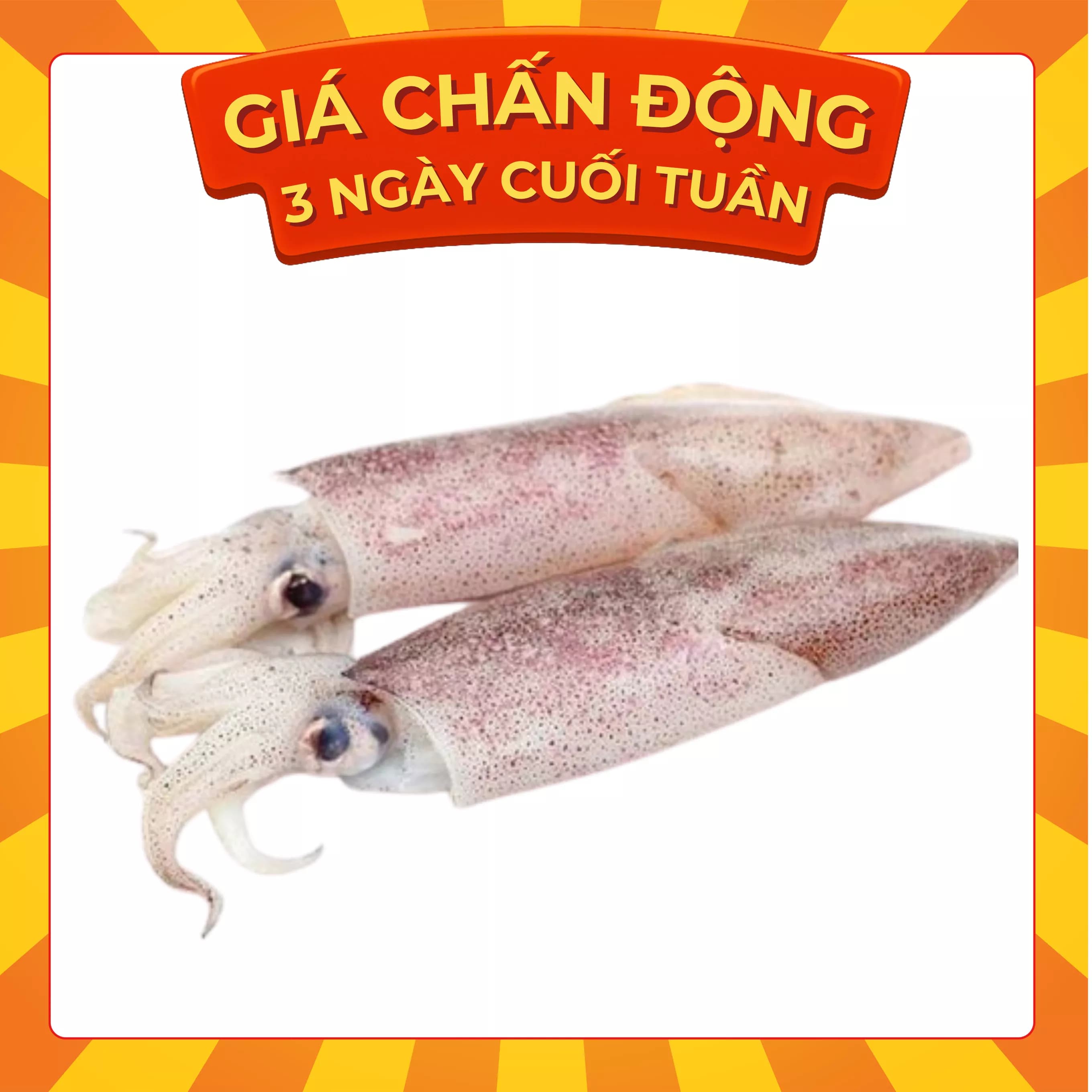 Mực ống 10-15cm vỉ 250g (1 Vỉ)