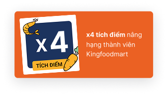x4point_mobile